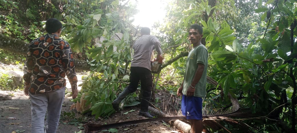 Respon Cepat Bhabinkamtibmas Silungkang Duo Polsek Muaro Kalaban Bersama Warga Gotong Royong Bersihkan Pohon Tumbang yang Tutup Akses Jalan